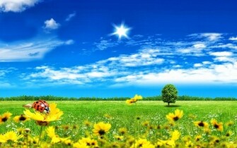 Beautiful Beach Picture Fantasy World Wallpaper