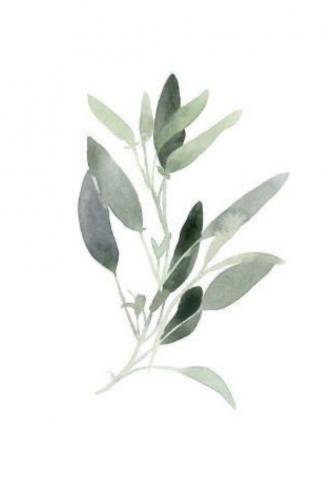 Kye Abbott On Wedding Design Sage Green Wallpaper