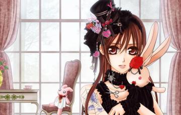 Wallpaper Girl Toys Roses Rabbits Vampire Knight Image For