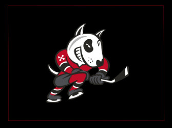 The Niagara Icedogs Congratulate Mike Ham