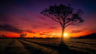Nature HD Wallpaper