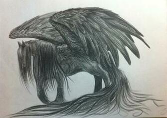 Black Pegasus By Swanpl