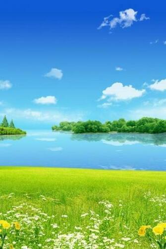 Nature Wallpaper Summer With Size Pixels For iPhone