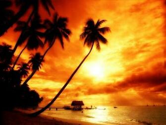Cool HD Nature Desktop Wallpaper Tropical Sunset