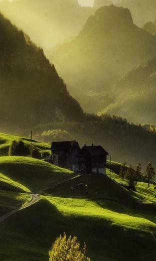 3d Forest HD Live Wallpaper Aplicaciones Android En Google Play