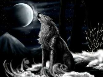 Smashing Show Beautiful Wolf Dark HD Pictures