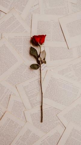 Authentic iPhone Wallpaper Tecnologist Beautiful