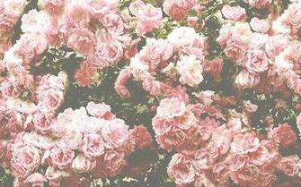Roses Viovio Swag