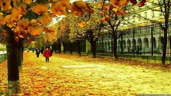 Paris Streets Wallpaper
