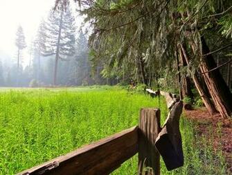 Where Should I Camp In Sequoia And Kings Canyon Just Ahead