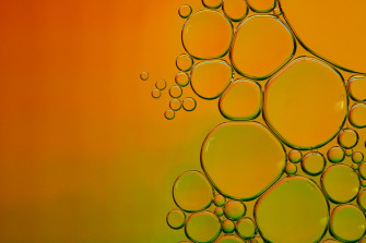 Origin Bio And Carbocycle Join Forces To Revolutionize The