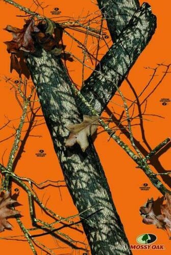 Blaze By Mossy Oak Decalgirl