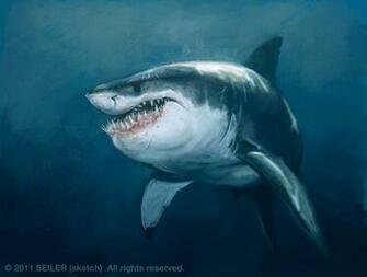 It S Funny Because True Great White Sketch Shark Week