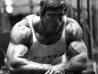 Arnold Schwarzenegger Desktop Wallpaper
