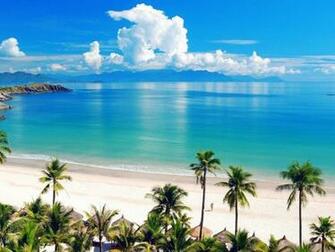 Beach Screensavers And Wallpaper Sea Palm