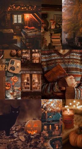 Cute Brown Aesthetic Wallpaper For Phone Collage