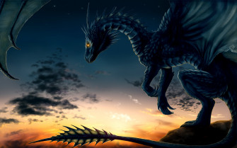 Draak Wallpaper