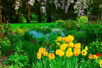 Spring Rain Wallpaper For Desktop After A Late