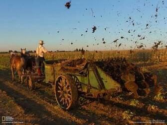 Photography Desktop Wallpaper National Geographic Magazine