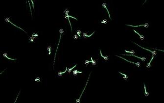 Organic Chemistry Wallpaper
