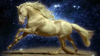 Albino Horse HD Wallpaper Widescreen