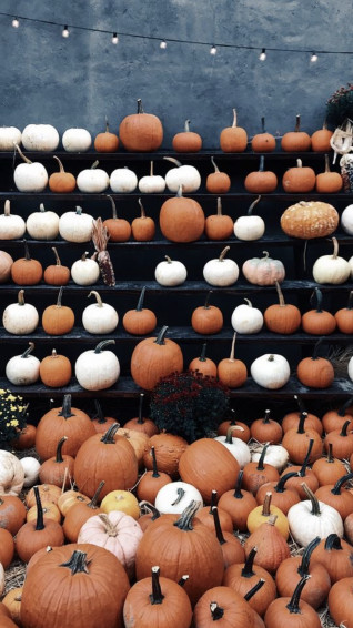 Aesthetic Fall iPhone Wallpaper You Need For Spooky Season