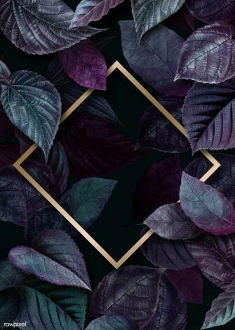 Premium Illustration Of Rhombus Frame On A Leafy