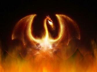 User Res Of Fire Dragon Animated Wallpaper