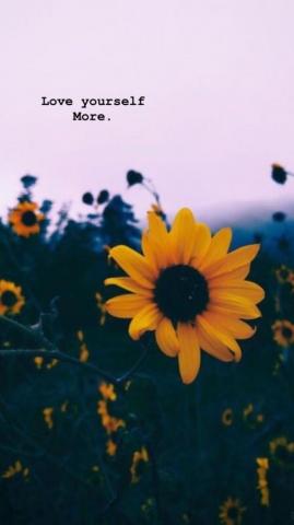 Pretty Aesthetic Wallpaper Top