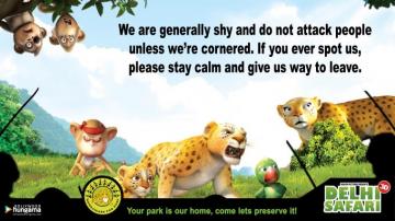 Delhi Safari Wallpaper HD Image