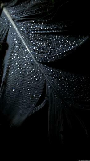 Cool Wallpaper Samsung Galaxy S3