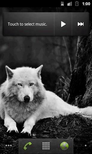 Wolves Hq Live Wallpaper App Para Android