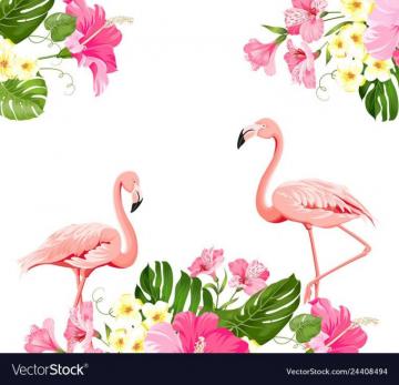 Flamingo Background Design Tropical Flowers Vector Image