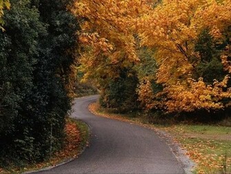 Thanksgiving And Autumn Desktop Wallpaper