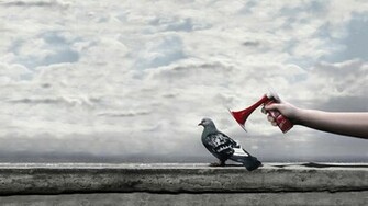 Funny HD Wallpaper 1080p
