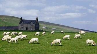 Farm Wallpaper HD Background