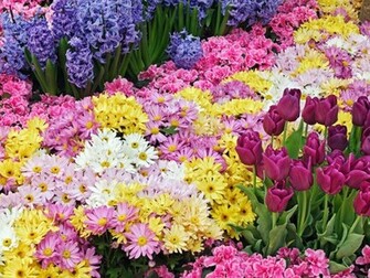 Flower Garden Wallpaper