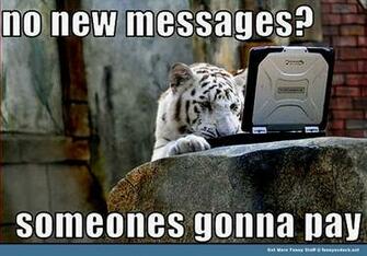 Meme Widescreen Wallpaper Kb Jpg Animal