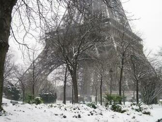 Paris Trees Around The Eiffel Tower Wallpaper And Image