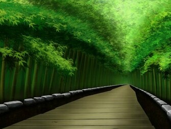 Bamboo Forest Wallpaper Image Photos Pictures And Background