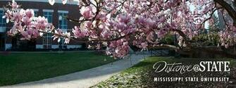 Center For Distance Education Wallpaper