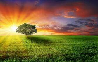 Windows Wallpaper Best