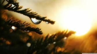 Water Drop Wallpaper Ios Gallery