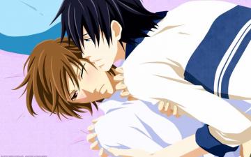 Junjou Romantica Wallpaper Beautiful Like This Minitokyo