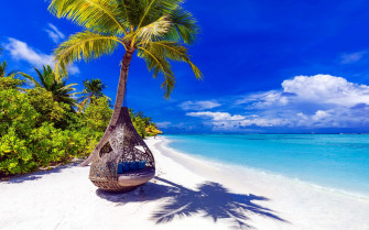 Beach Tropical Sand Nature Rare Gallery HD Wallpaper