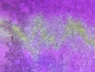 Crystal Creek Grainy Crystals Yellow Bolt By Dscript