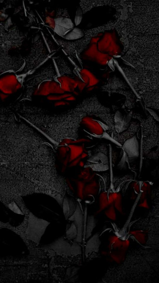 Dark Red Aesthetic Wallpaper