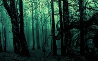 Dark Forest Background
