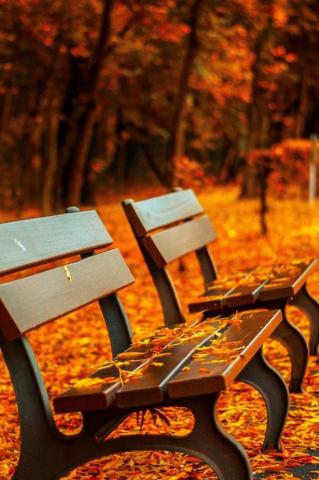Best Places To Visit In Autumn iPhone Wallpaper Vintage