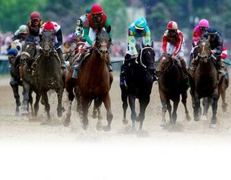 About The Kentucky Oaks And Derby Experiences